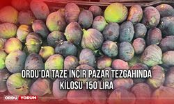 Ordu’da Taze İncir Pazar Tezgahında: Kilosu 150 Lira