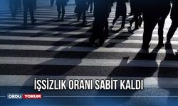 İşsizlik Oranı Sabit Kaldı