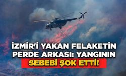 İzmir'i Yakan Felaketin Perde Arkası: Yangının Sebebi Şok Etti!