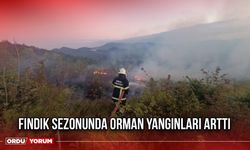 Fındık Sezonunda Orman Yangınları Arttı