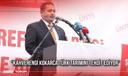 “Kahverengi Kokarca Türk Tarımını Tehdit Ediyor”