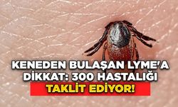 Keneden Bulaşan Lyme'a Dikkat: 300 Hastalığı Taklit Ediyor!