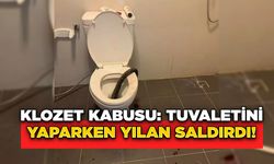 Klozet Kabusu: Tuvaletini Yaparken Yılan Saldırdı!