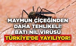 Sağlık Bakanlığı: Batı Nil Virüsü 6 Kişide Tespit Edildi!