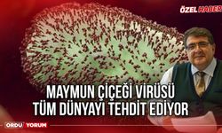 Maymun Çiçeği Virüsü Tüm Dünyayı Tehdit Ediyor