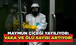 Maymun Çiçeği Yayılıyor: Vaka ve Ölü Sayısı Artıyor!