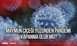 Maymun Çiçeği yüzünden pandemi kapanma olur mu?