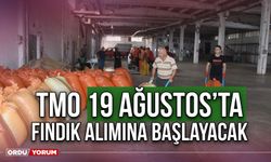 TMO 19 Ağustos’ta Fındık Alımına Başlayacak