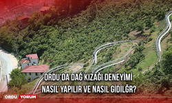 Ordu'da Dağ Kızağı Deneyimi: Nasıl Yapılır ve Nasıl Gidilir?