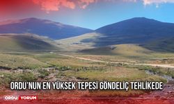 Ordu’nun En Yüksek Tepesi Göndeliç Tehlikede