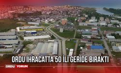 Ordu ihracatta 50 ili geride bıraktı