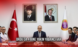 Ordu’da 4 Bine Yakın Yabancı Var