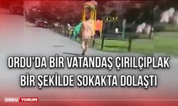 Ordu'da bir vatandaş çırılçıplak bir şekilde sokakta dolaştı