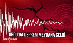 Ordu'da Deprem Meydana Geldi