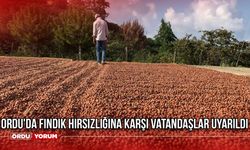 Ordu'da Fındık Hırsızlığına Karşı Vatandaşlar Uyarıldı