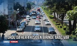 Ordu'da her 4 kişiden birinde araç var