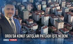 Ordu'da Konut Satışları Patladı! İşte Nedeni