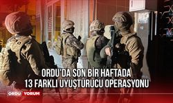 Ordu'da son bir haftada 13 farklı uyuşturucu operasyonu