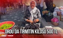 Ordu’da tirmitin Kilosu 500 TL