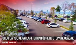 Ordu'da Yol Kenarları Tekrar Ücretli Otopark Olacak!