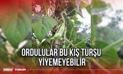 Ordulular Bu Kış Turşu Yiyemeyebilir