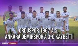 Orduspor 1967 A.Ş., Ankara Demirspor'a 3-0 Kaybetti