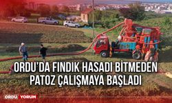 Ordu’da Fındık Hasadı Bitmeden Patoz Çalışmaya Başladı