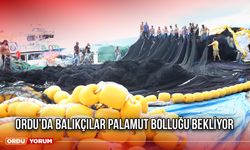 Ordu’da Balıkçılar Palamut Bolluğu Bekliyor