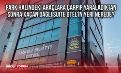 Park Halindeki Araçlara Çarpıp Yaraladıktan Sonra Kaçan Dağlı Suite Otel’in Yeri Nerede?