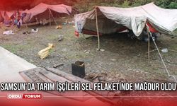 Samsun'da Tarım İşçileri Sel Felaketinde Mağdur Oldu