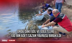 Ordu’daki Göl ve Göletlere 100 Bin Adet Sazan Yavrusu Bırakıldı