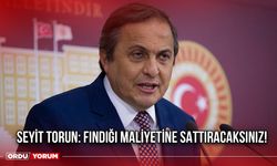 Seyit Torun: Fındığı Maliyetine Sattıracaksınız!