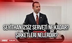 Seyithan İzsiz serveti ne kadar? Şirketleri nelerdir?