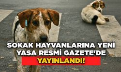 Sokak Hayvanlarına Yeni Yasa Resmi Gazete'de Yayınlandı!