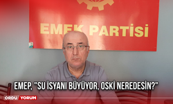 EMEP, "Su isyanı büyüyor, OSKİ neredesin?"