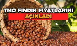 TMO Fındık Fiyatlarını Açıkladı