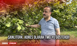 Şanlıtürk, Adres Olarak Tmo’yu Gösterdi!