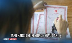 Tapu Harcı Gelirlerinde Büyük Artış: 2024’ün İlk Yarısında Elde Edilen Gelir Yüzde 28,5 Arttı