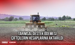 Tarımsal Destek Ödemesi Çiftçilerin Hesaplarına Aktarıldı