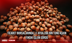 Ticaret borsalarında 11 ayda 396 bin tonu aşkın fındık işlem gördü