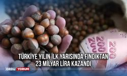 Türkiye yılın ilk yarısında fındıktan 23 milyar lira kazandı