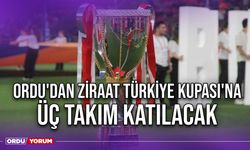 Ordu'dan Ziraat Türkiye Kupası'na Üç Takım Katılacak