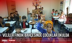 Veliler Fındık Bahçesinde Çocuklar Okulda