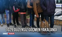 1029 Düzensiz Göçmen Yakalandı