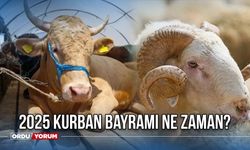 2025 kurban bayramı ne zaman? 2025 yılında kurbanlık bayramı hangi tarihte? Kurban bayramı arife ne zaman?