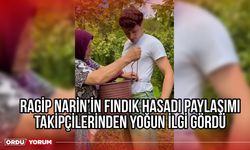 Ragıp Narin’in Fındık Hasadı Paylaşımı Takipçilerinden Yoğun İlgi Gördü