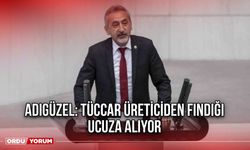 Adıgüzel: Tüccar Üreticiden Fındığı Ucuza Alıyor