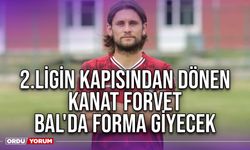 2.Ligin Kapısından Dönen Kanat Forvet, BAL'da Forma Giyecek