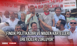 "Fındık Politikaları ve Maden Kartelleri Üreticileri Zorluyor"