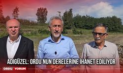 Adıgüzel: Ordu’nun Derelerine İhanet Ediliyor